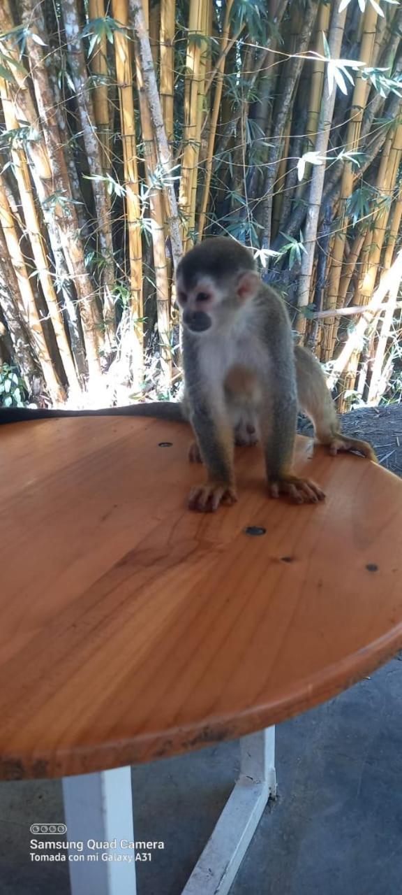 Grand Park Manuel Antonio - Adults Only Ξενοδοχείο Εξωτερικό φωτογραφία