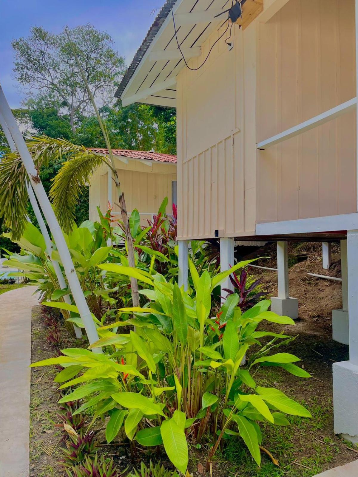 Grand Park Manuel Antonio - Adults Only Ξενοδοχείο Εξωτερικό φωτογραφία